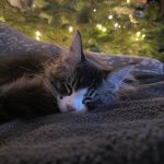 Kasia Leszczynska Avatar